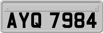 AYQ7984