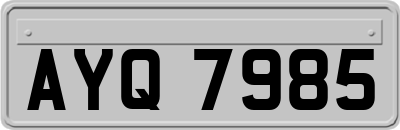 AYQ7985