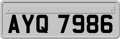 AYQ7986