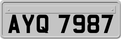 AYQ7987