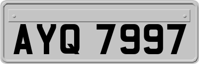 AYQ7997