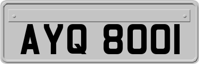 AYQ8001