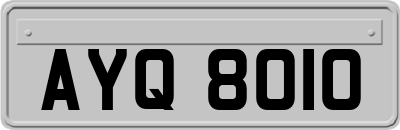 AYQ8010