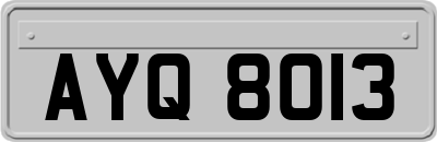 AYQ8013