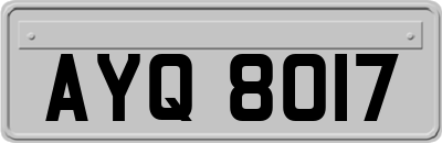 AYQ8017