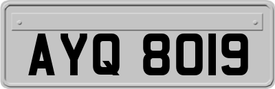 AYQ8019