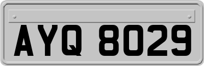 AYQ8029
