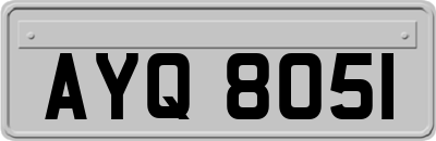 AYQ8051