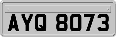 AYQ8073