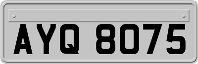 AYQ8075