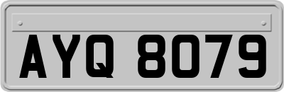 AYQ8079
