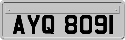 AYQ8091