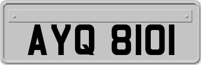 AYQ8101