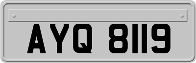 AYQ8119