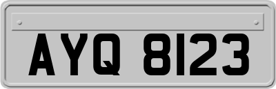 AYQ8123