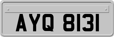 AYQ8131