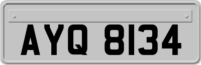 AYQ8134