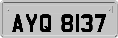 AYQ8137