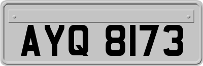 AYQ8173