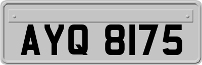 AYQ8175