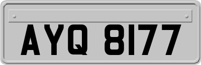 AYQ8177