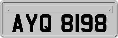 AYQ8198