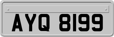 AYQ8199