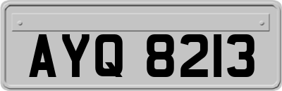 AYQ8213