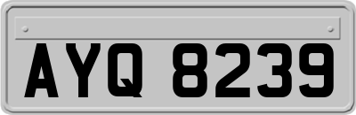 AYQ8239