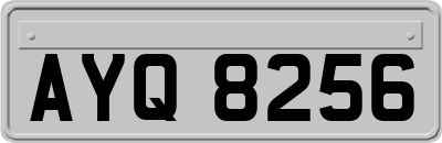 AYQ8256