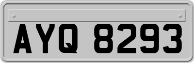 AYQ8293