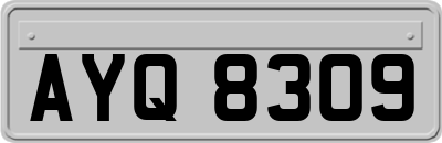AYQ8309