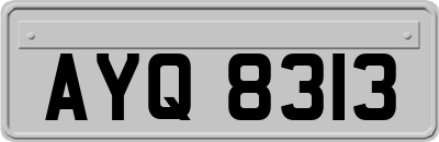 AYQ8313