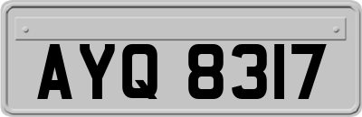 AYQ8317
