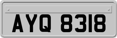 AYQ8318
