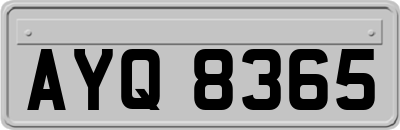 AYQ8365