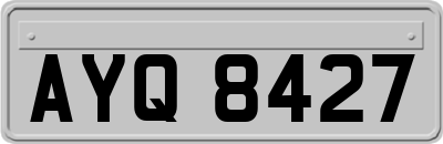 AYQ8427