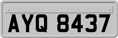 AYQ8437