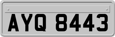 AYQ8443