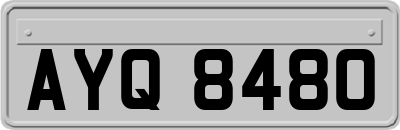 AYQ8480