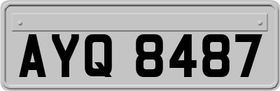 AYQ8487