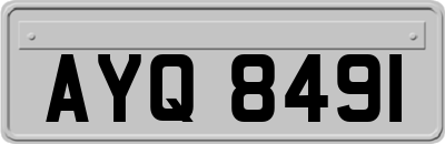 AYQ8491
