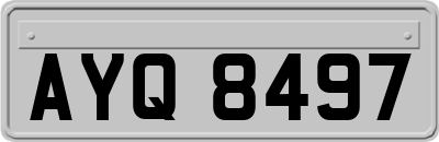 AYQ8497
