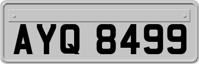 AYQ8499