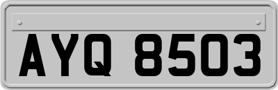 AYQ8503