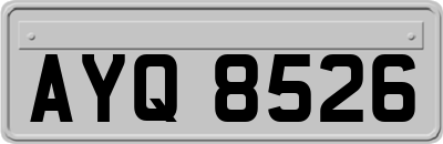 AYQ8526