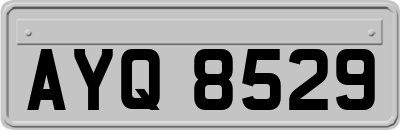 AYQ8529