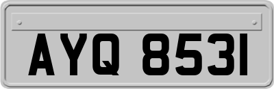 AYQ8531