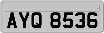 AYQ8536
