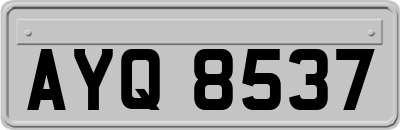 AYQ8537